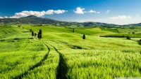 /album/hinh-%e1%ba%a3nh-thien-nhien/bright-tuscany-wallpaper-1920x1080-jpg/
