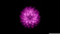 /album/thu-vi%e1%bb%87n-hinh-%e1%ba%a3nh%3a-trang-ch%e1%bb%a7/apple-ios-wallpaper-1920x1080-jpg1/